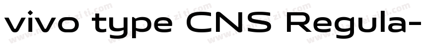 vivo type CNS Regula字体转换